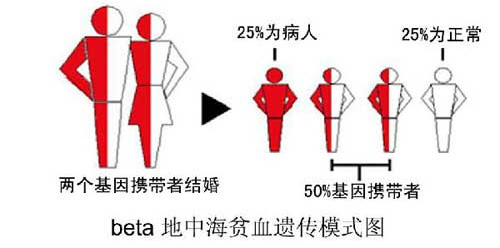 和田孕妈妈咨询：做地贫血筛查有问题能把孩子生下来吗